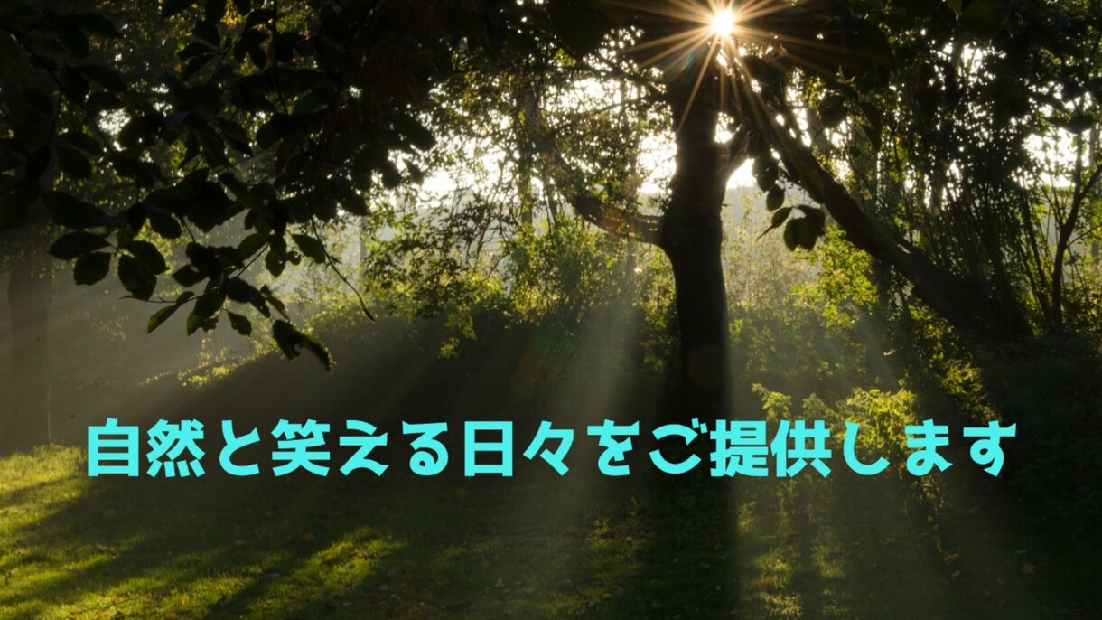 理由もなく不安になる、、そんな悩みお聞きします 元躁鬱の人生どん底人間だからこそ皆さんの気持ちがわかります！ イメージ1
