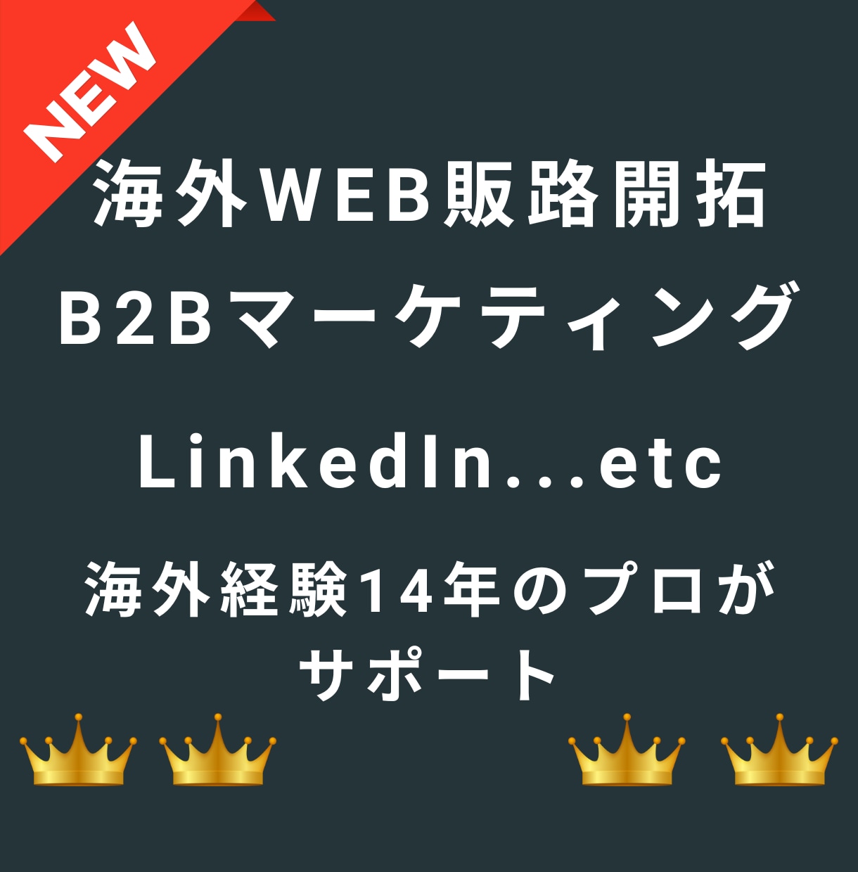 海外WEB販路開拓・B2Bマーケのアドバイスします 経験14年のプロが海外販売・海外新規事業のビジネスをサポート イメージ1