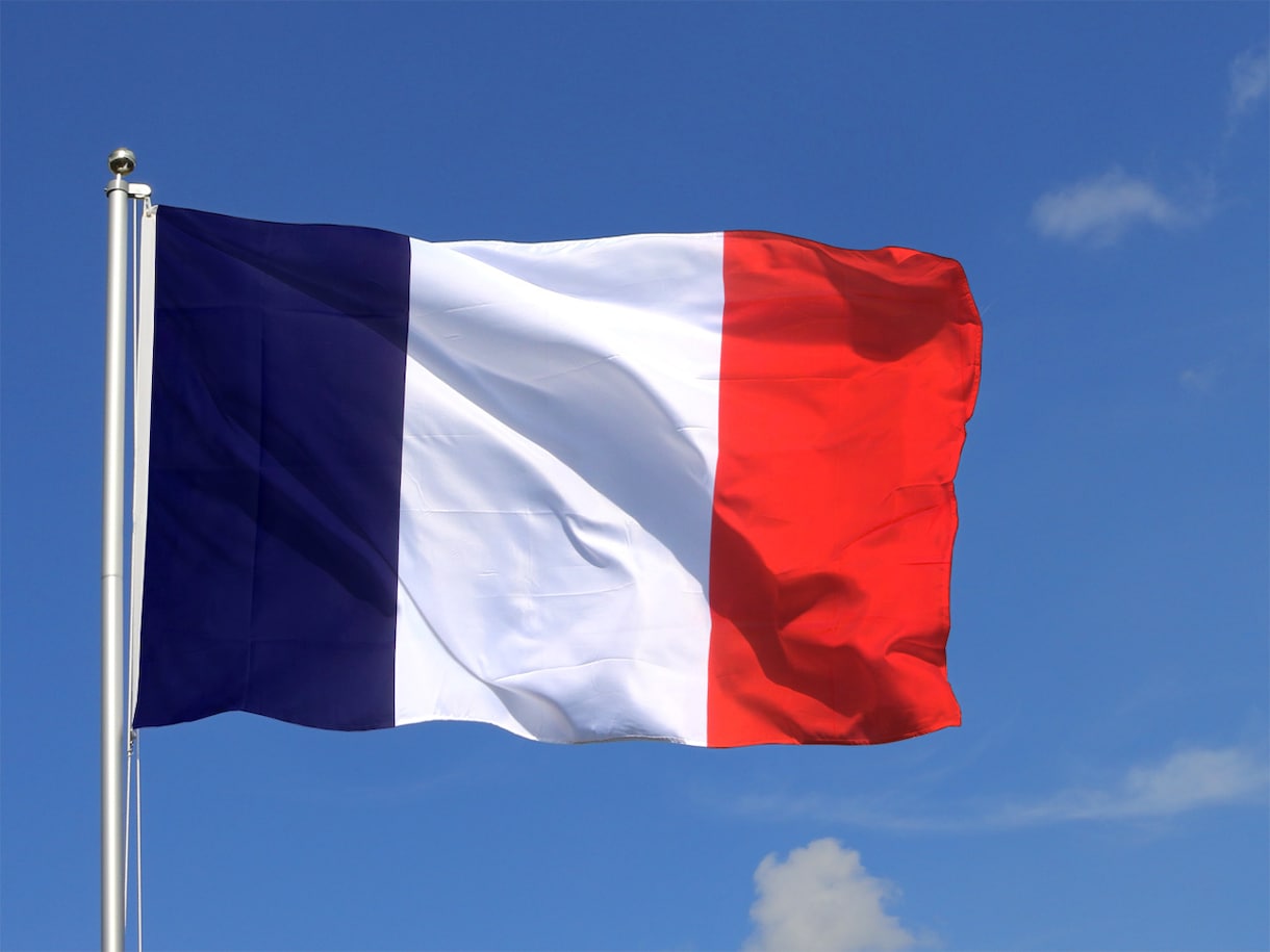 初~中級：フランス語の発音指導を行います 大学でフランス語を専門的に学んだ講師による発音指導です。 イメージ1