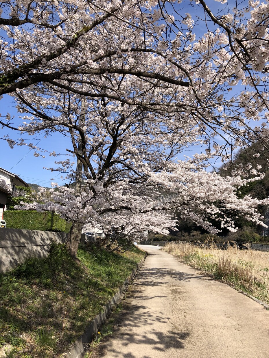 話し相手、悩み、愚痴聞きます 迷っている方。数分からでも大歓迎！優しくお聞きします。 イメージ6