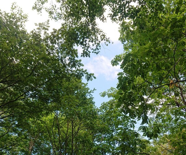 1分から＊どうしても辛い思いをお聞きします 頭から離れない苦しみ/悲しい/屈辱/許せない/怒り/寂しい イメージ9