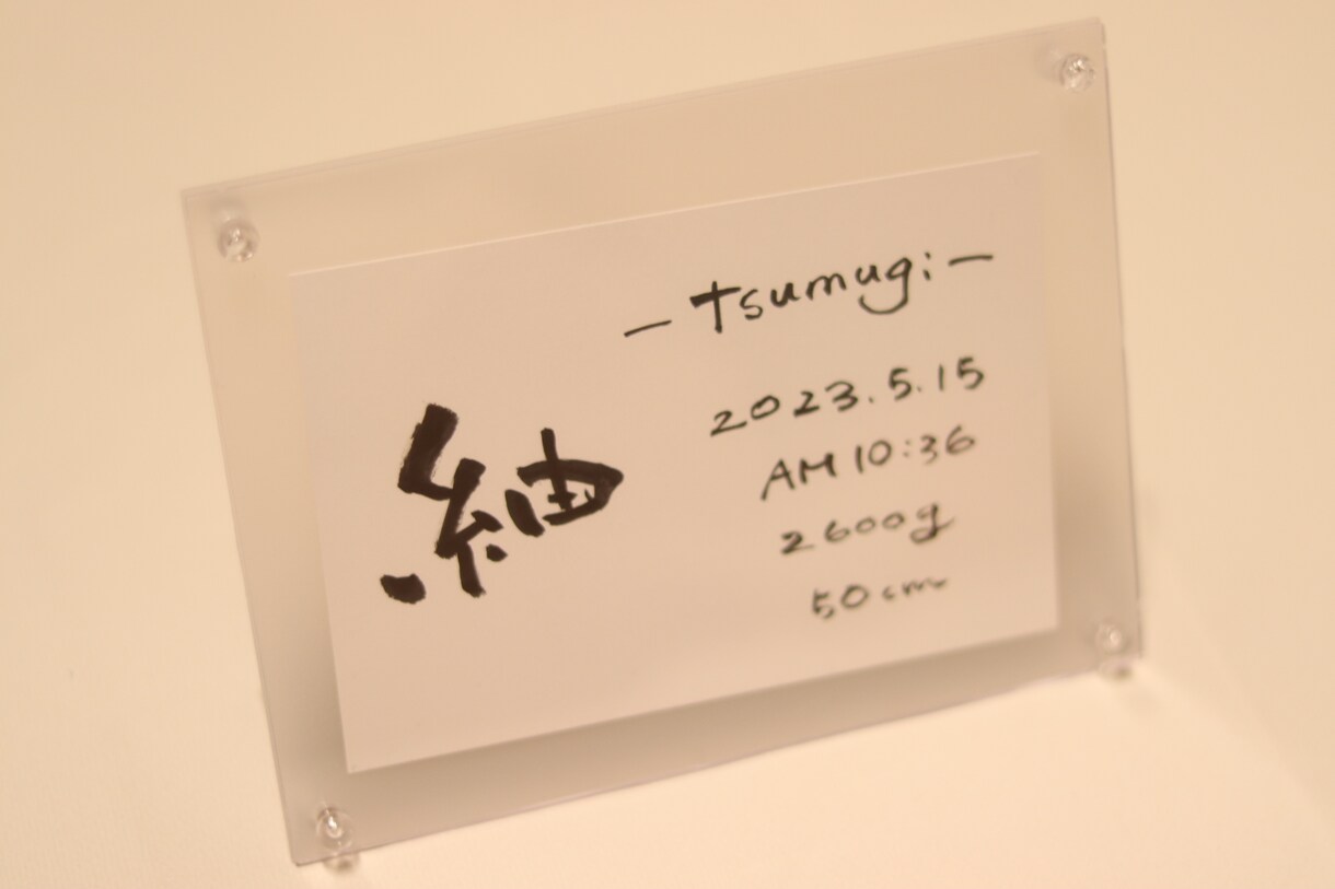 真心込めてお名前書きます 世界にたった一つの命名書、プレゼントにもいかがですか☺︎ イメージ6