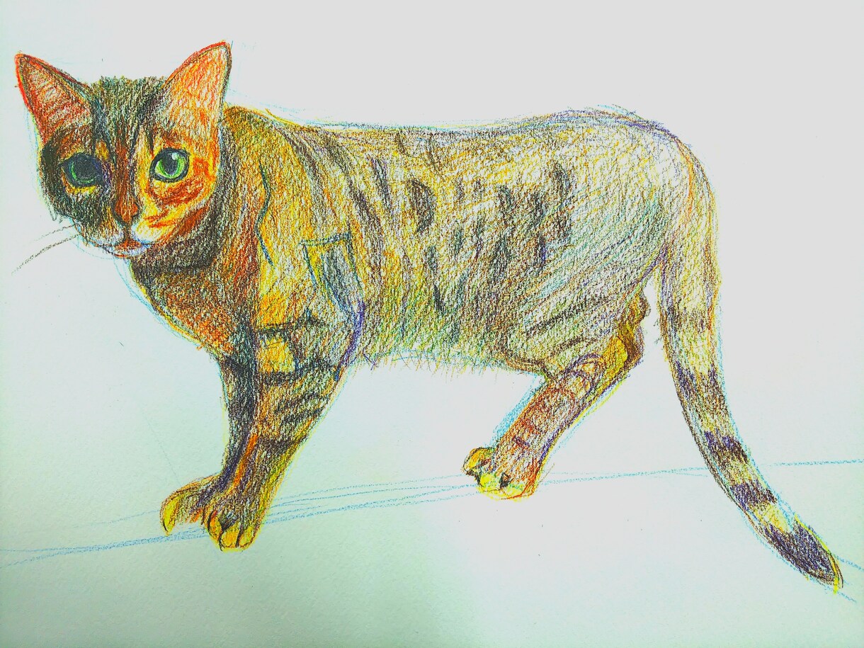 リアルで可愛いペットの肖像画をノリノリで描きます 皆様が愛するペットをふわふわリアルでご提供♪ イメージ5