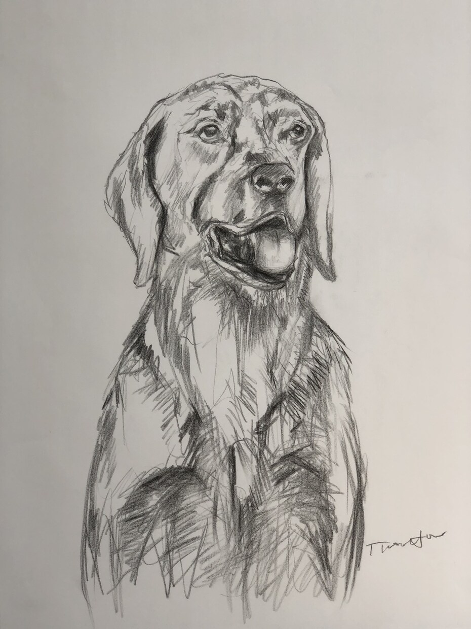 動物や人物画を描いています 愛するペットや人物画を印象的に描きます。 イメージ3