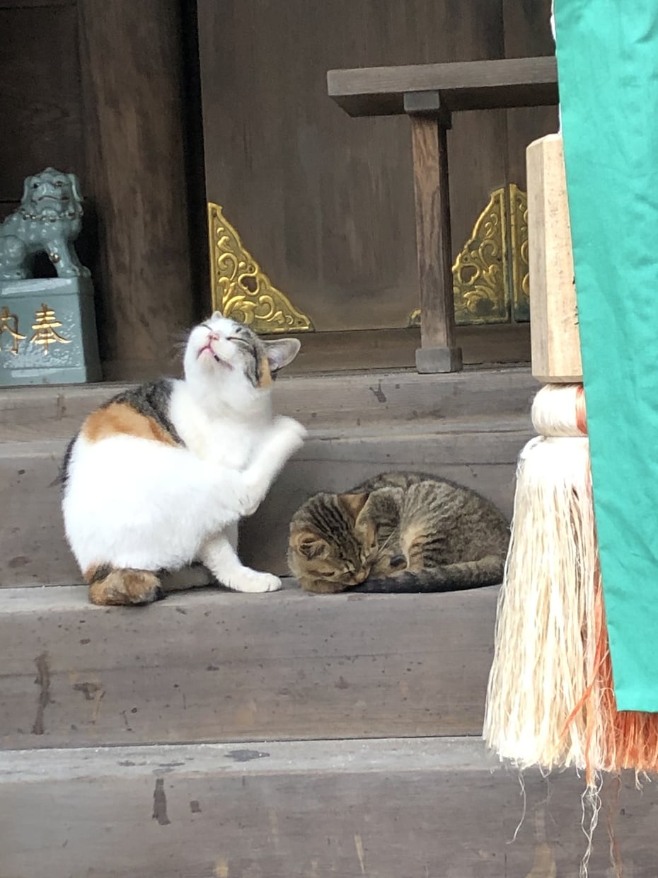 あなたの天職を見つけ出します やりがいと収入を両立させ仕事を楽しみましょう イメージ1