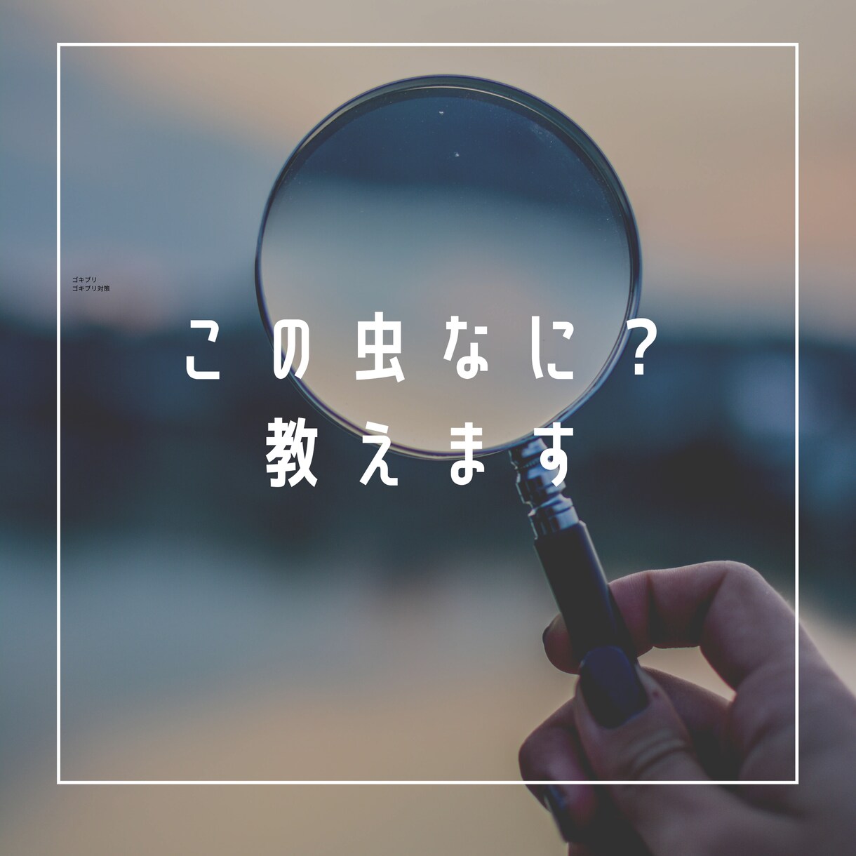 なんか変な虫が出た！これ何？答えます 家の中に変な虫が出たら怖いですよね？答えます。 イメージ1