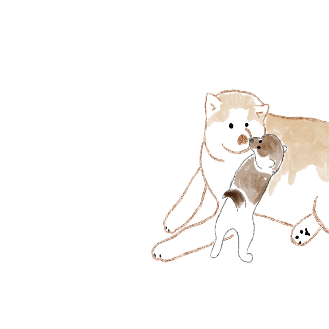 あなたのペットちゃんの絵を描きます 水彩と色鉛筆仕上げ背景入れ無料 イメージ2