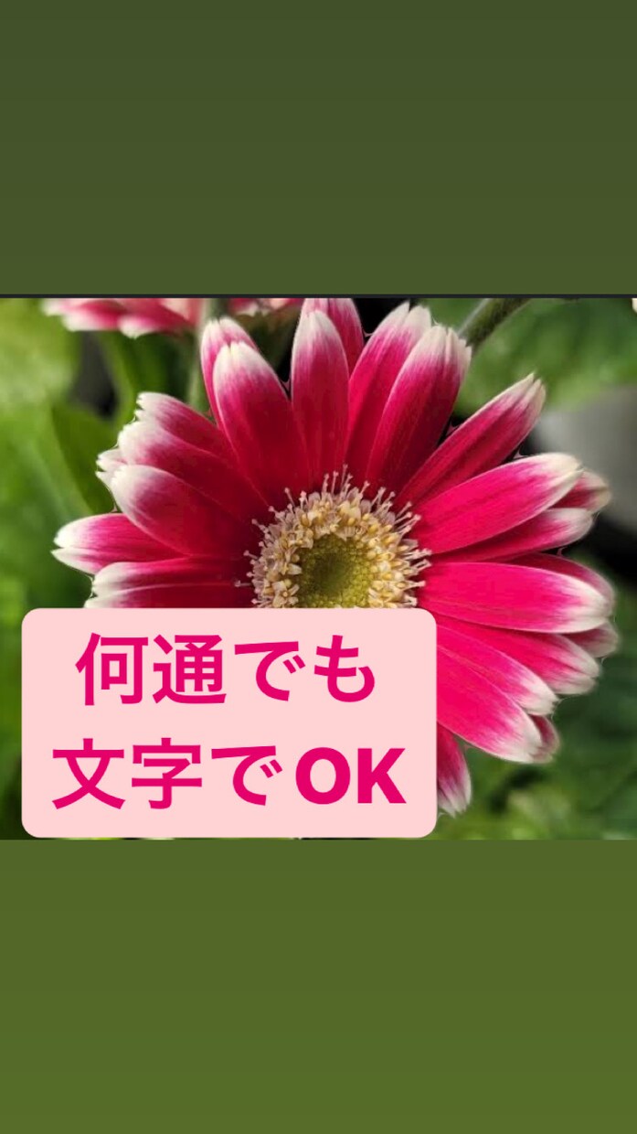 恋愛相談、アドバイスいたします 24時間、送り放題！！恋愛相談アドバイスいたします。 イメージ2