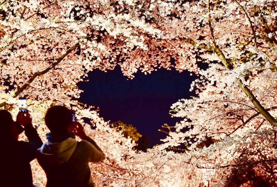 恋愛や結婚に悩んでいる方の相談に乗ります まず何をすればいいか迷っている方向け イメージ1