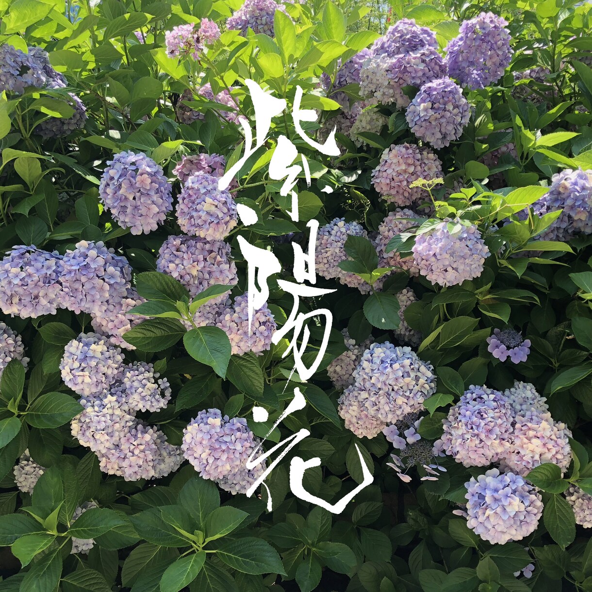 筆文字のデザイン力と書道の技術を活かして制作します ひとつ格上の筆文字を目指します イメージ5
