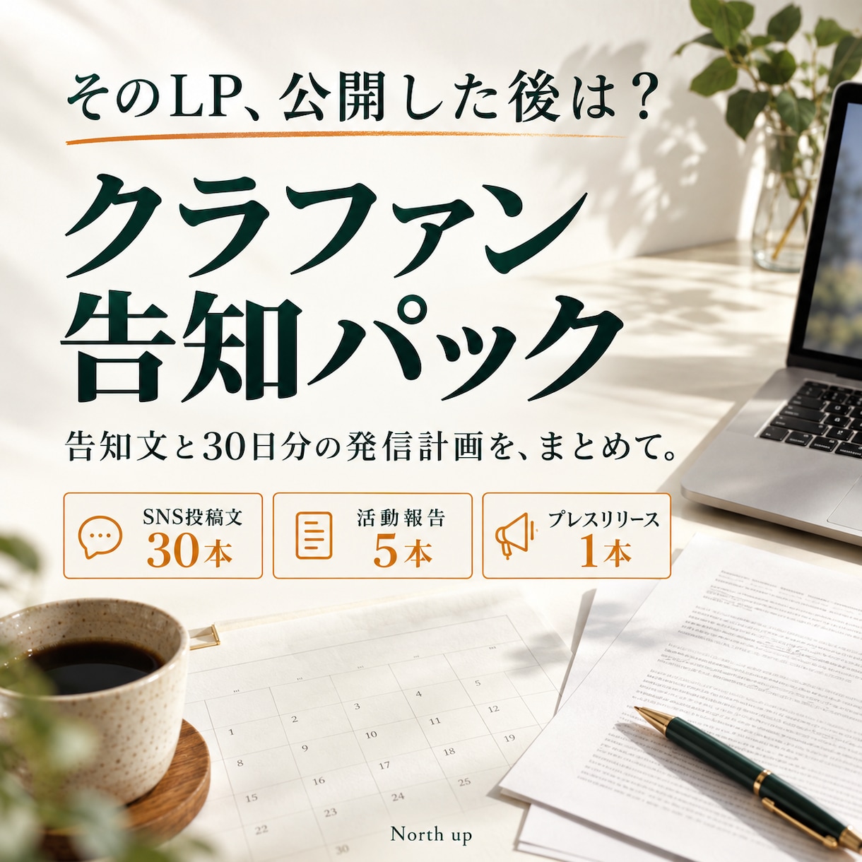 クラファンの告知文と30日発信計画を作ります 完成したLPを活かす、SNS・活動報告・広報原稿 イメージ1
