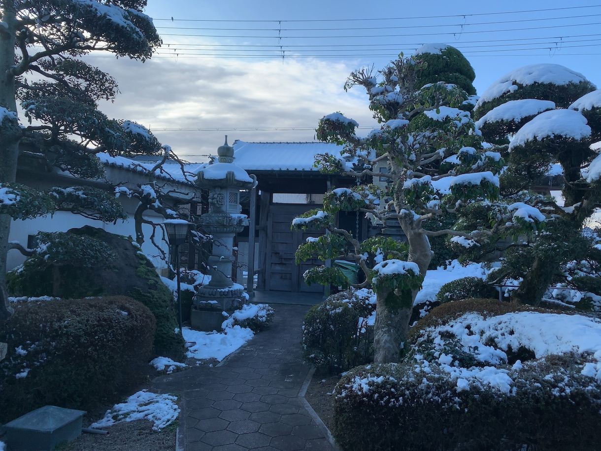 お庭や庭木のお悩み相談承ります 現役植木屋の実際の体験を元にお答えします。 イメージ1