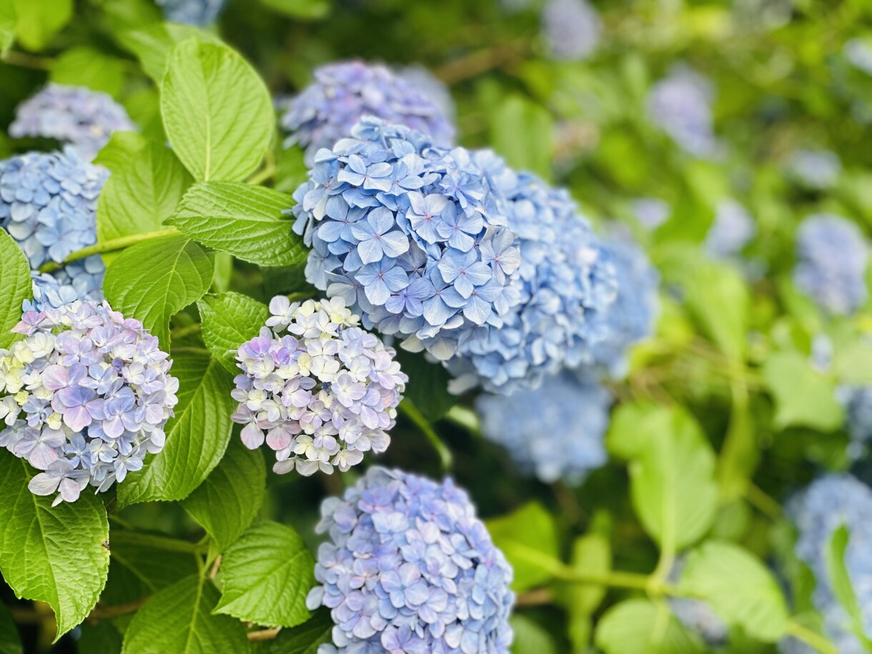 仕事の悩み、選択に困っているあなたの助けになります 悩みは人それぞれ、心の健康を一緒に見つけます。 イメージ2