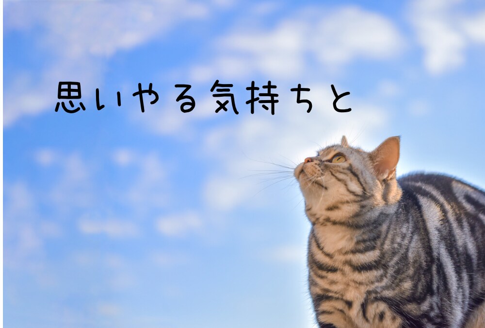 男性限定♡奥さまの立場で、妻の気持ちをお答えます ✿あなたに寄り添って優しくお聴きします／愚痴・雑談・相談OK イメージ9