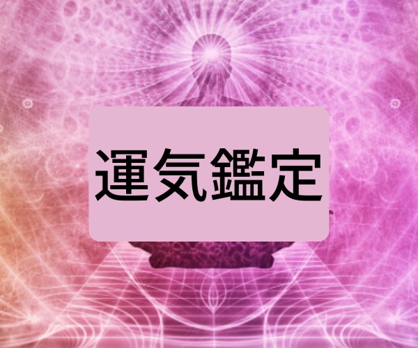 今年の運気を鑑定します 道標に従い、波動を調整しながら運気を占います✨全体運 イメージ1