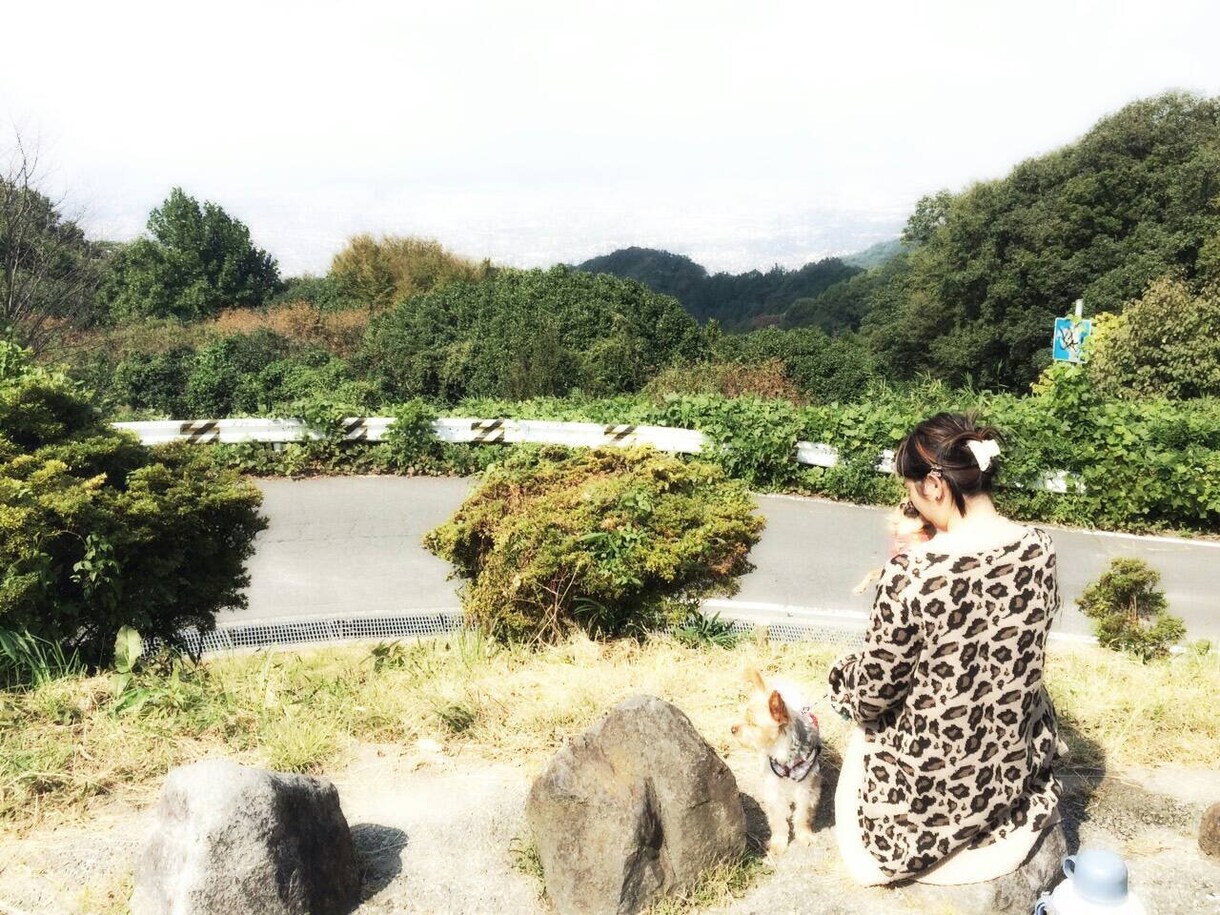 小 中 高  家庭教師  五教科出来ます 1枠1教科〜2教科です。 実績をあげる為一緒に頑張りましょう イメージ1
