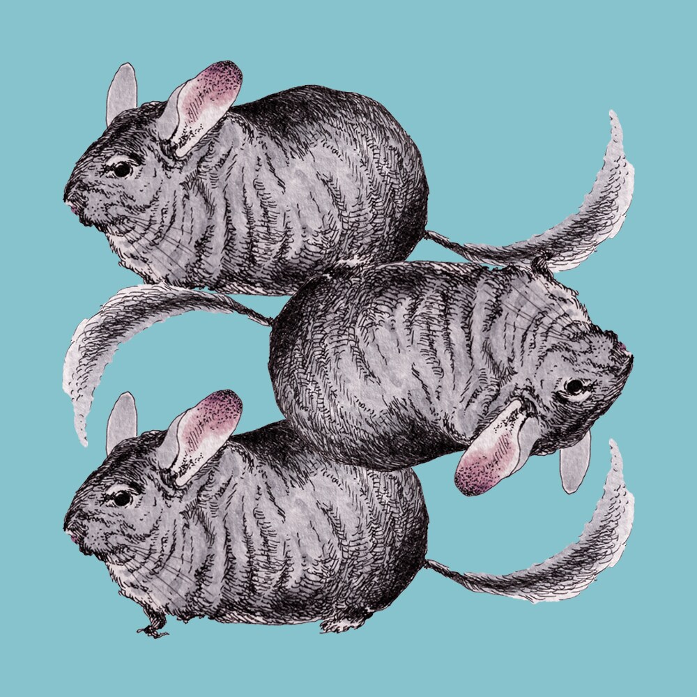 レトロで繊細なタッチでペット画制作いたします ペット様の性格やお好きなものなど伺ってからの完全受注制作です イメージ7