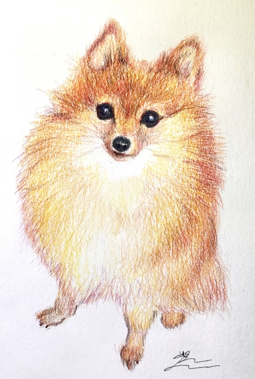 配送無料でお届け＊うちのこペットお描きます 水彩色鉛筆の手描き原画を送料無料でお届け＊贈り物・ご自宅用に イメージ1