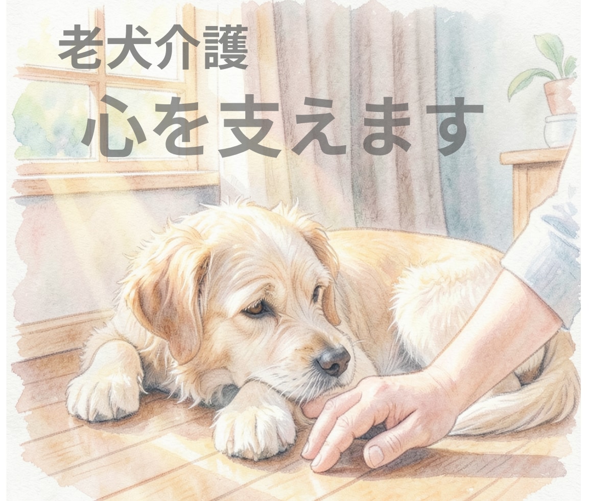 高齢ペット介護の心を支えます 看取りを知る愛玩動物看護師が、揺れる気持ちに寄り添います イメージ1