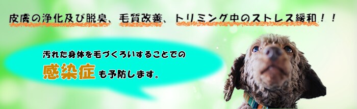 画像を綺麗に切り出します 画像の合成を考えているけどうまくできない人向け イメージ2