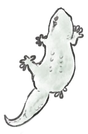 ゆるめの可愛いイラストを描きます どこでも使えるようなアイコンやアイキャッチ画像を描きます イメージ4