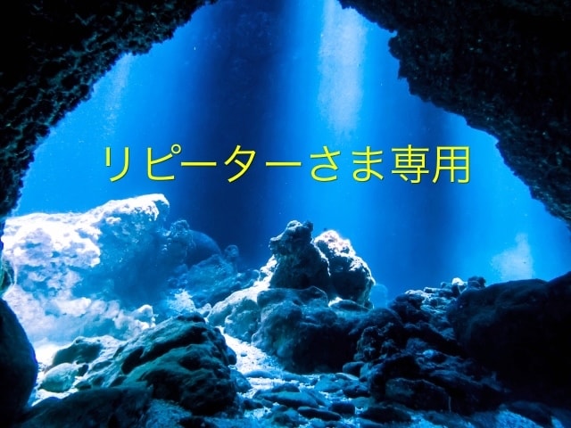 リピーターさま用の占い相談窓口となります さらに深く相談されたい方、別のことも相談したい方はこちら イメージ1
