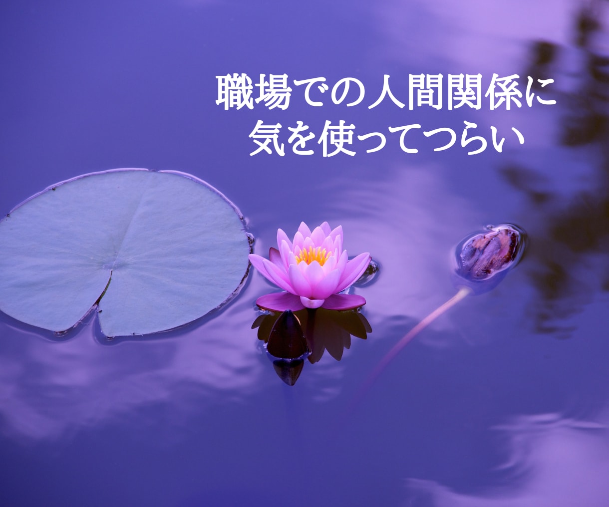 数秘×思い込み解除で頑張りすぎないあなたへ導きます 仕事、人間関係、子育て、愛、人生、何でもご相談ください。 イメージ4