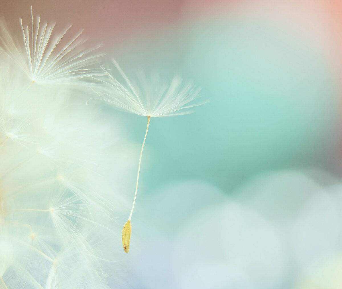 諦めきれない恋⭐あなたを幸せへと導くために占います どうすべき❓片想い/失恋/復縁/再会/婚外恋愛/運命/宿命⭐ イメージ3