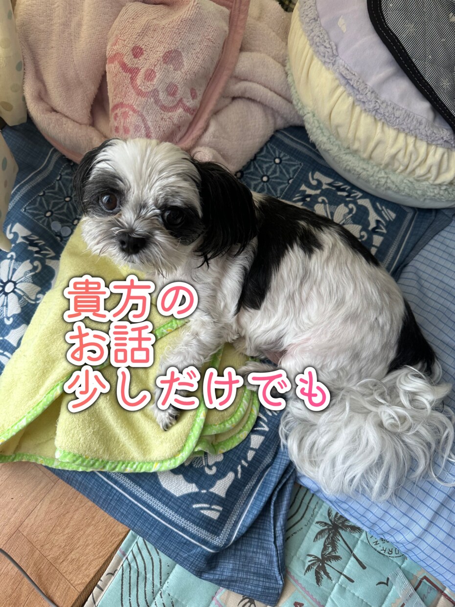 貴方のお話を誠心誠意聞きます 貴方に寄り添った会話と楽な場所を提供出来るようにします イメージ1