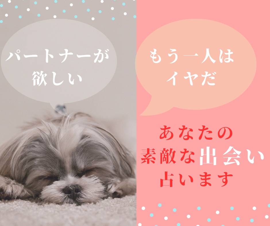あなたの新しい恋を占います 理想のパートナーに出会いたい！出会いかあるのかみていきます イメージ2