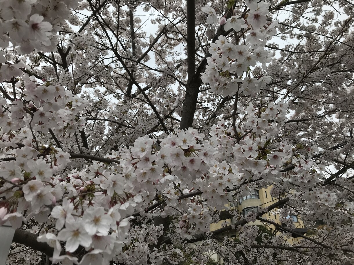 不安について優しくお話します 不安、皆ありますよね、一緒に不安をゆっくり整理しましょう イメージ2