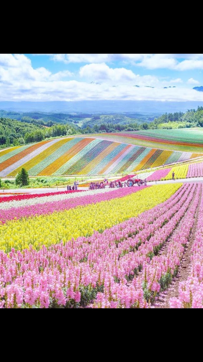 一緒に(お花の)プレゼント内容考えます お花をプレゼントしたいけど、どうしたらいいのか分からない方へ イメージ7