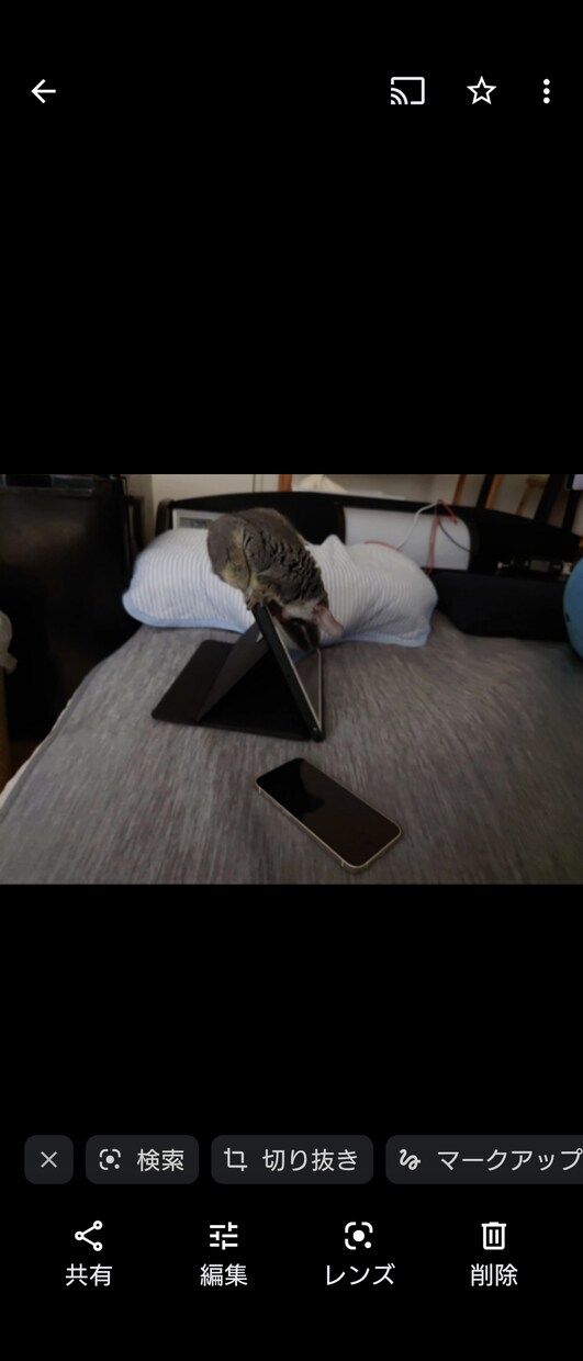 リピーターさま限定☆上手な会話のやり方教えます 人との会話が苦手な方に接客等で学んだことを教えます イメージ5