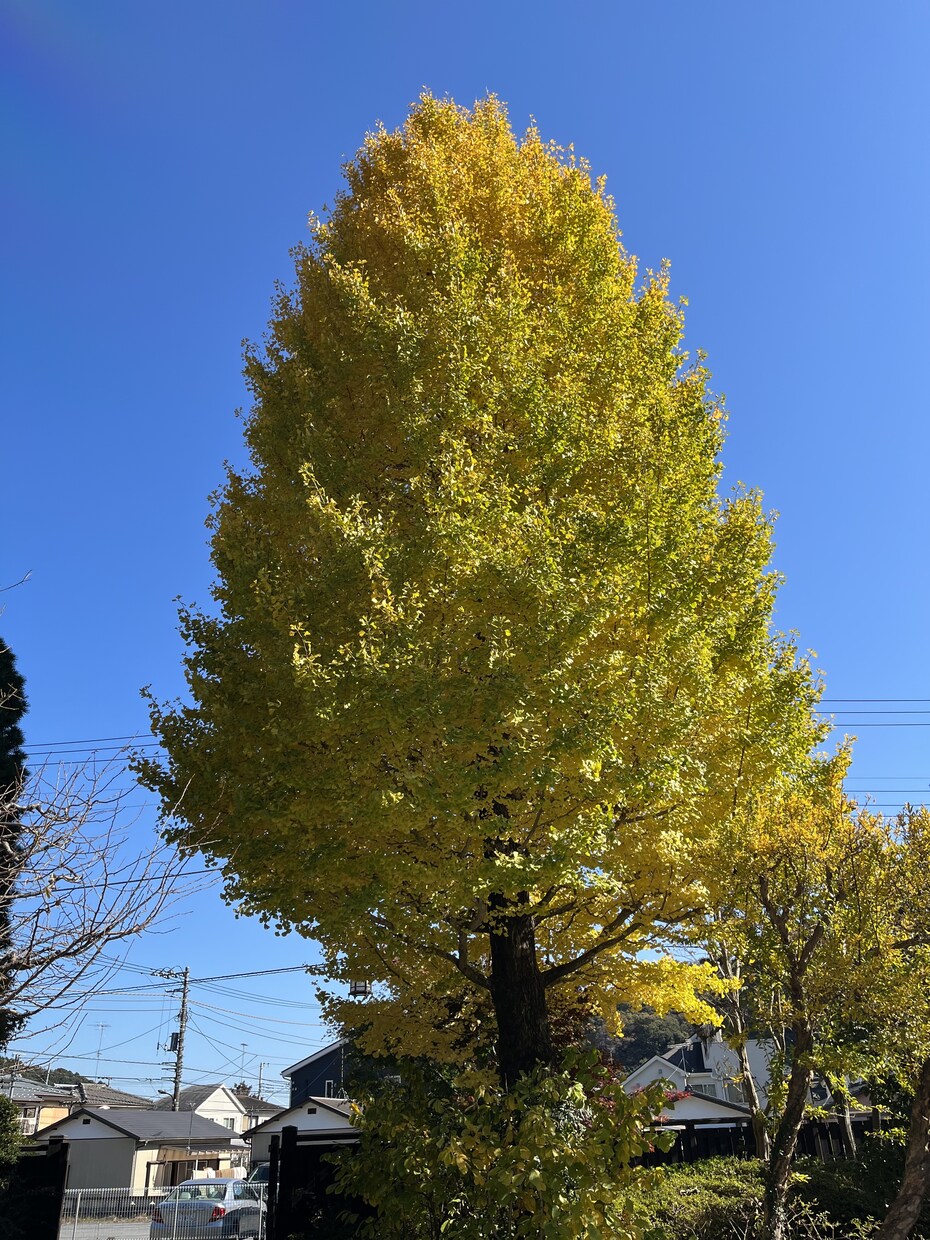 話してスッキリ！心の回復お助けします モヤモヤしているあなたへ。ベテラン看護師が傾聴致します！ イメージ2