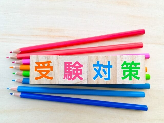 書くことが楽になる小論文の書き方の基礎を教えます 型を覚えて書く小論文指導＆添削セット イメージ3