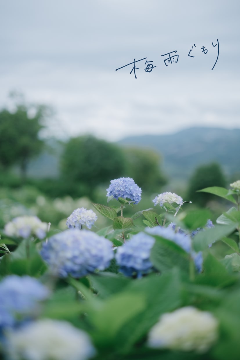 写真に手書き文字を入れます 思い出の写真に、ことばを添えて イメージ8
