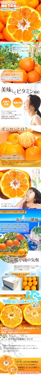 販促デザイナーが魅力を引き出す商品画像を作ります 女性向け・食品・ギフト・温かみのあるデザインが得意です イメージ6