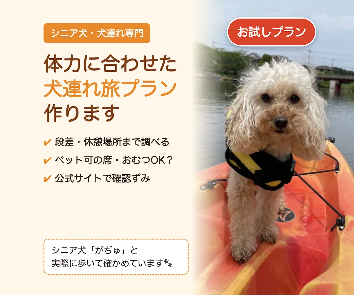 お試し｜シニア犬と行く日帰り旅プラン作ります はじめての方限定・行き先1か所の日帰りプラン イメージ1