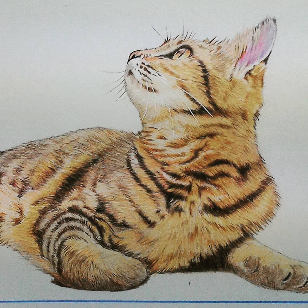 写真を素にペットの似顔絵を描きます 犬、猫、小鳥など、何でも描きます。 イメージ6