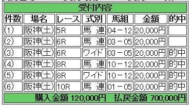 中央競馬買い目予想します 競馬で臨時収入が欲しい、副業をやってみようと考えている方 イメージ1