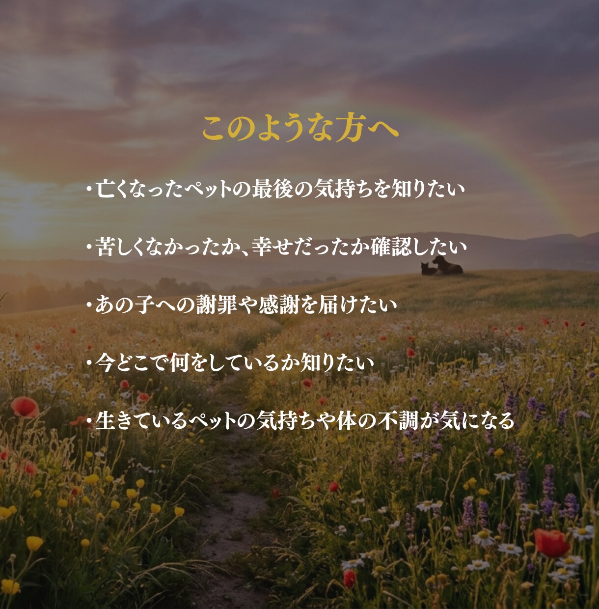 ペット・猫・犬の気持ちを神言霊視でお伝えします あなたのペットが今伝えたいことを、神言で視えます イメージ4