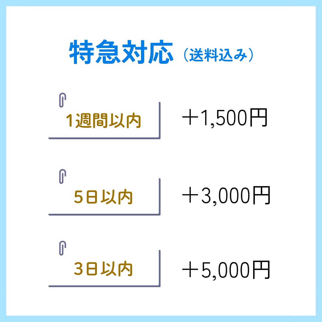 写真メインのゲスト紹介ムービー作成します セミオーダー or テンプレートで対応！ISUM申請もOK◎ イメージ10