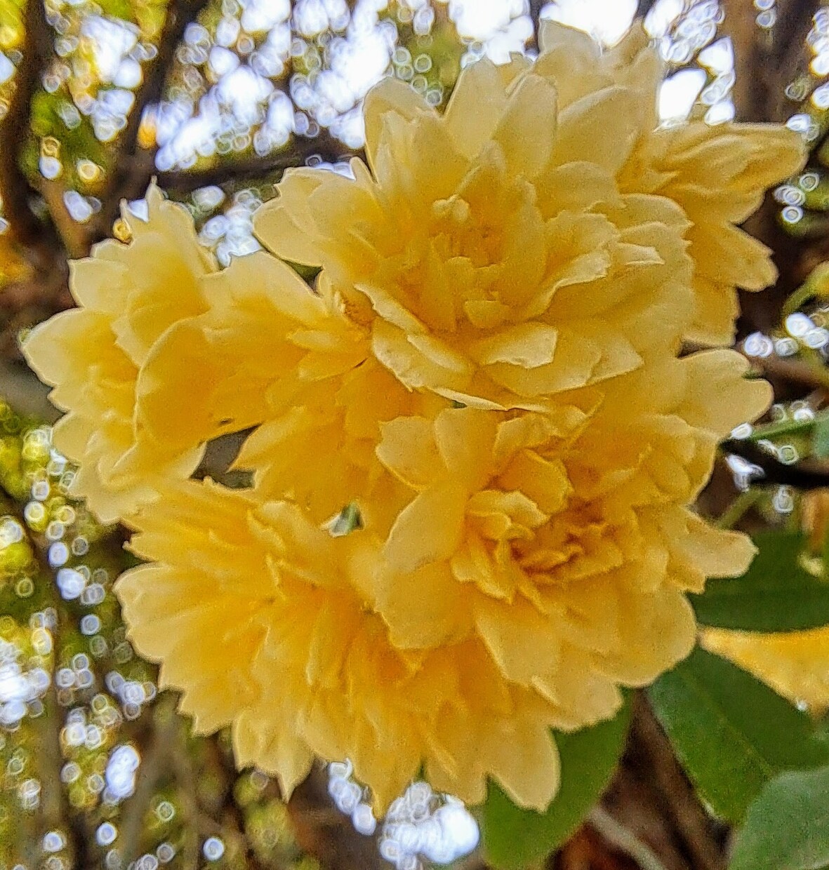 今すぐ誰かに聞いて欲しい❣️その思い受け止めます ～また笑顔で頑張れるように全力でお手伝いさせて下さいꕤ୭ イメージ6