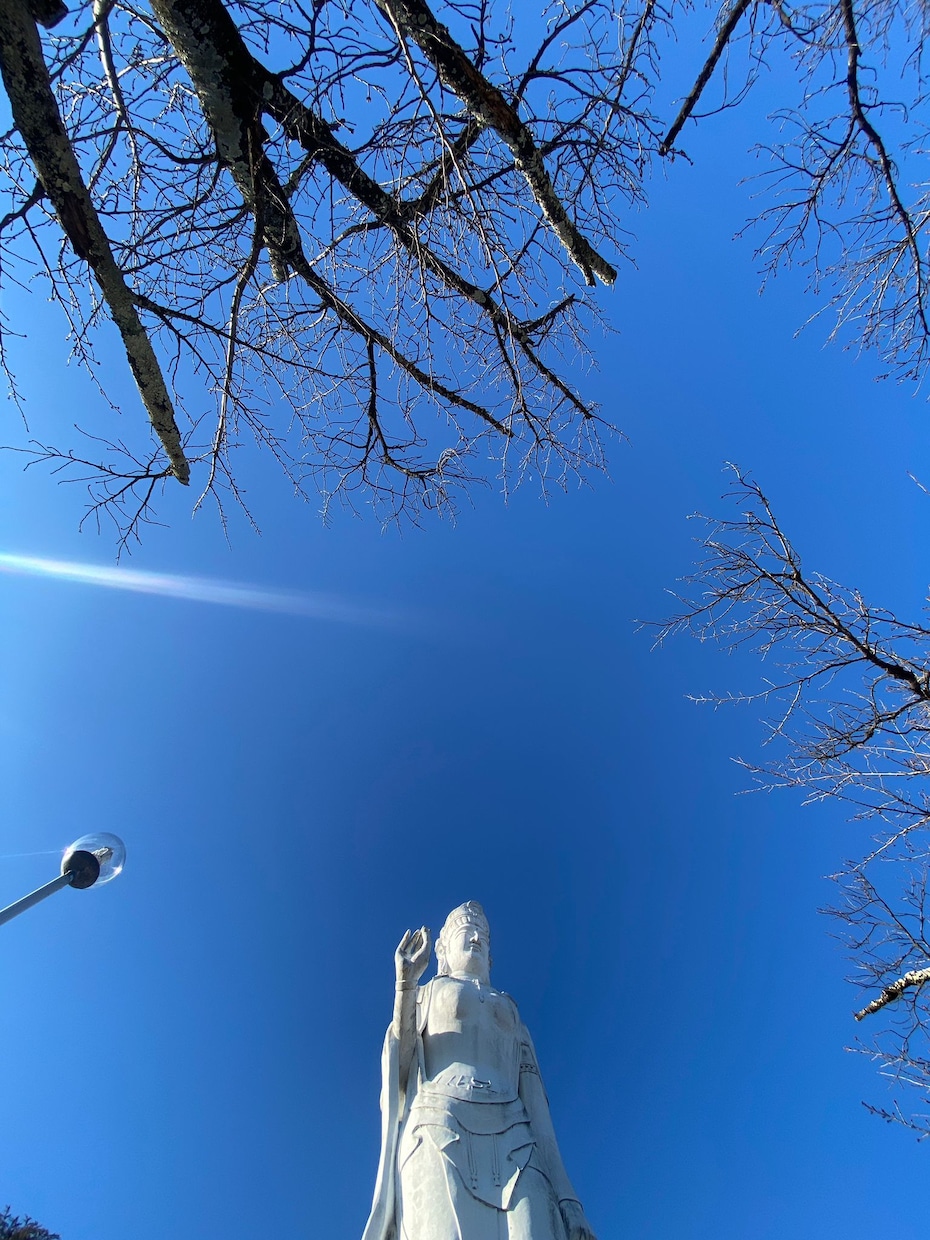 どなたでも好きなものを占います。ます 不安な事最近何もかも上手くいかない人への助けになります イメージ1