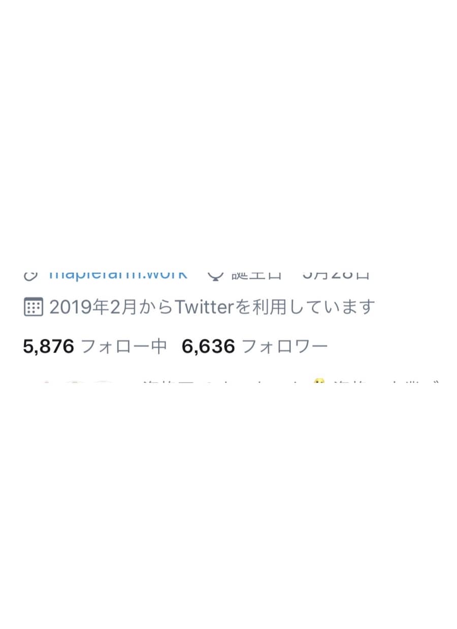 アプリやサービスを宣伝、PRします twitterで活躍するインフルエンサーが宣伝します！ イメージ3
