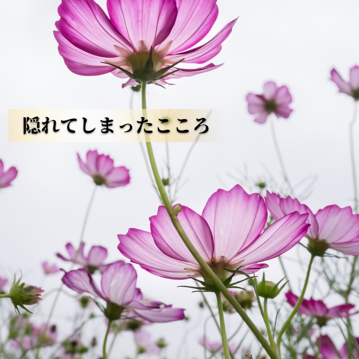 妊活チャネリング、未来へのメッセージをお伝えします 揺れ動き続けてきた心を癒し、ありのままのあなたと繋がります イメージ6