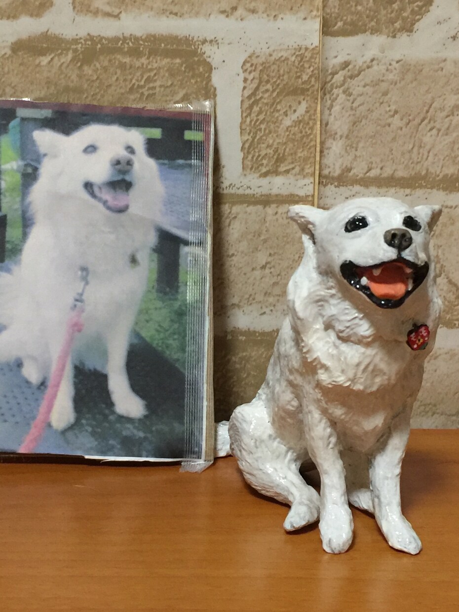 愛犬のフィギュアをオーダー制作します 思い出の一杯詰まったフィギュア制作 イメージ5