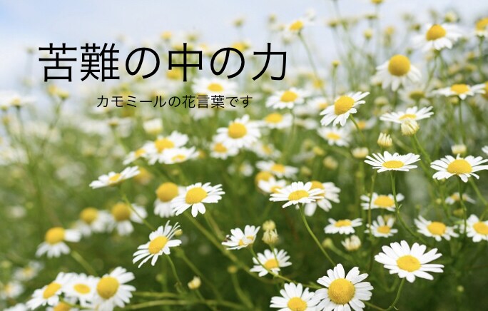 前向きになる魔法の会話をお約束します 5分で前向き、10分で元気に( 'ω' )و イメージ2
