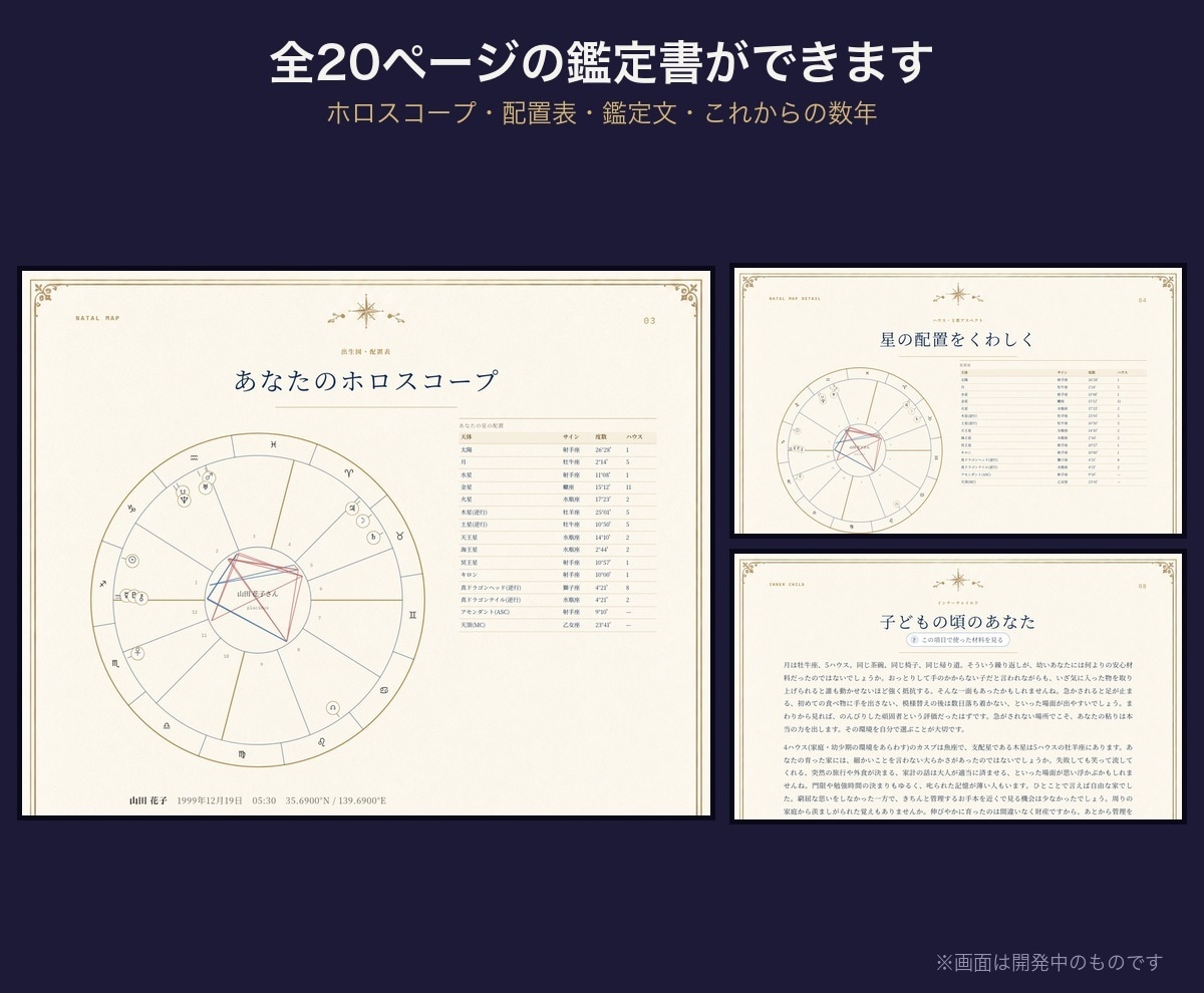 西洋占星術のホロスコープ／鑑定書ツールを提供します ハウス・アスペクト・年運・相性も自動。文章は書き換え可 イメージ2
