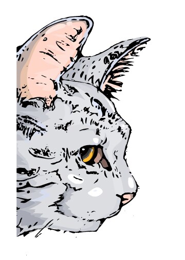 猫の横顔になります 猫のレイアウトやイラストが欲しい人へ イメージ1